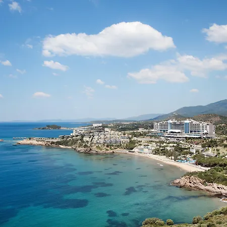 Aria Claros & אוזדרה