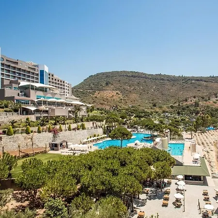 Aria Claros & אוזדרה