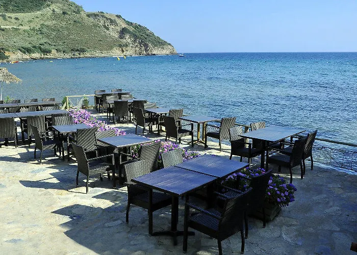 أريا كلاروس بيتش آند سبا ريزورت - شامل كليًا على مدار 24 ساعة منتجع اوزديره